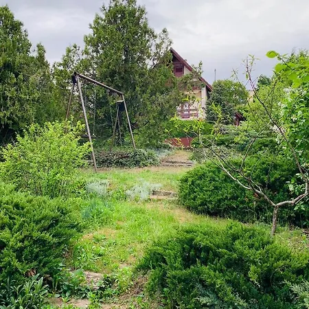 Velencei Vadregényes *