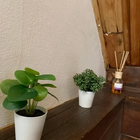 Velencei Vadregenyes Vendeghaz Holiday home
